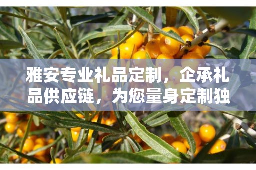 雅安专业礼品定制，企承礼品供应链，为您量身定制独特礼品