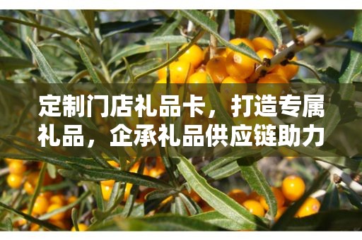 定制门店礼品卡，打造专属礼品，企承礼品供应链助力商务往来